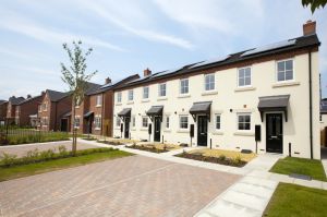 bellway meadows 6.jpg